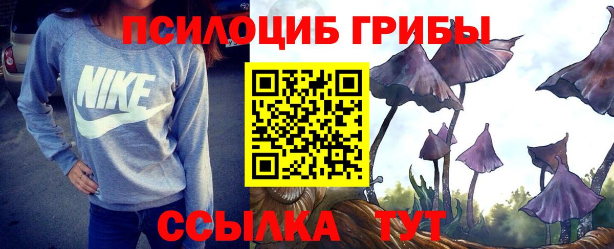 Псилоцибиновые грибы мицелий Михайловка